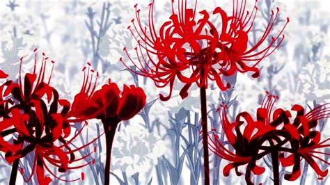 Pin by Gaëlle on Animes | Tokyo ghoul flower, Red spider lily, Red flowers