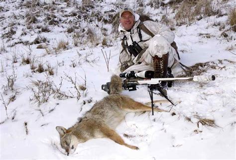 Why Bird Distress Calls Make Coyotes Come… | Grand View Outdoors