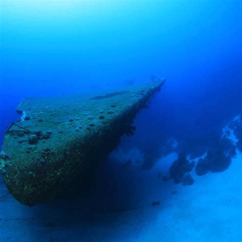 The 5 Best Bonaire Scuba Diving Sites Not To Miss Out On - DeeperBlue.com