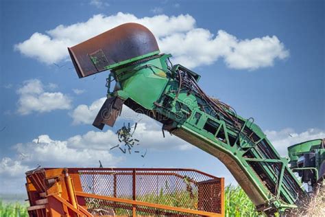 Machine Harvesting Sugar Cane Plantation Editorial Stock Image - Image of healthy, harvesting ...