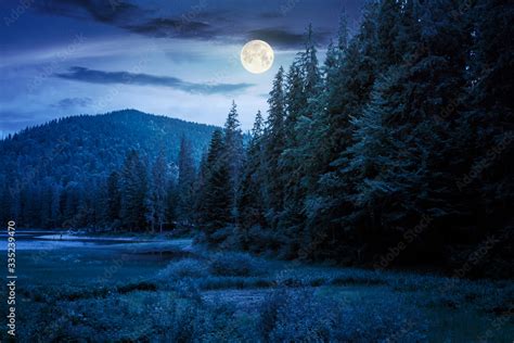 lake summer landscape at night. beautiful scenery among the forest in mountains in full moon ...