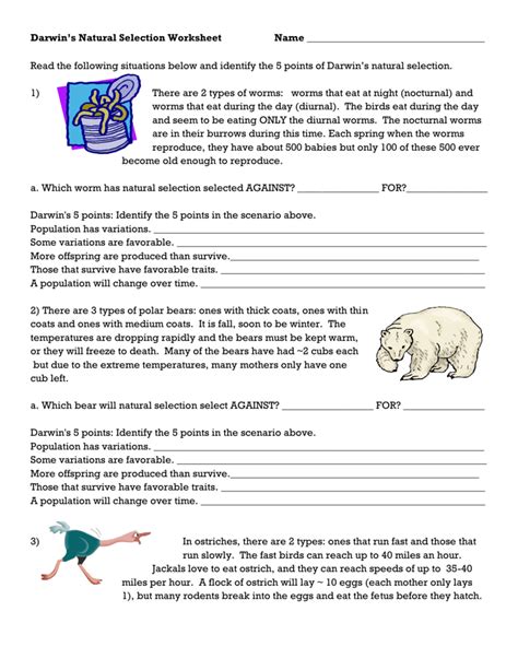 Darwin's Natural Selection Worksheet