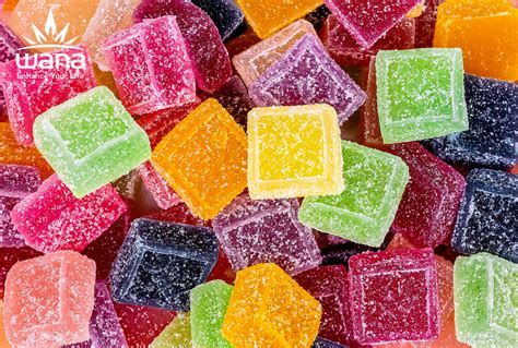 These Are The Best THC Gummies For Edible Lovers | Herb