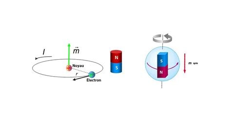 Which is the magnetic moment? - Magnet Blog - Information- IMA