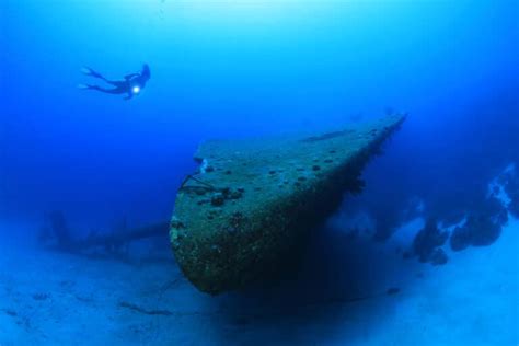 The 5 Best Bonaire Scuba Diving Sites Not To Miss Out On - DeeperBlue.com