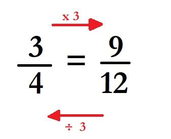 Proportion | Definition, Formula & Types - Lesson | Study.com