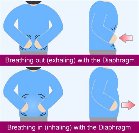 Deep Breathing Exercises For Stress Relief – Online degrees