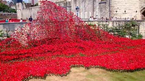 WWI Memorial Poppies Tower of London | YNUKtv