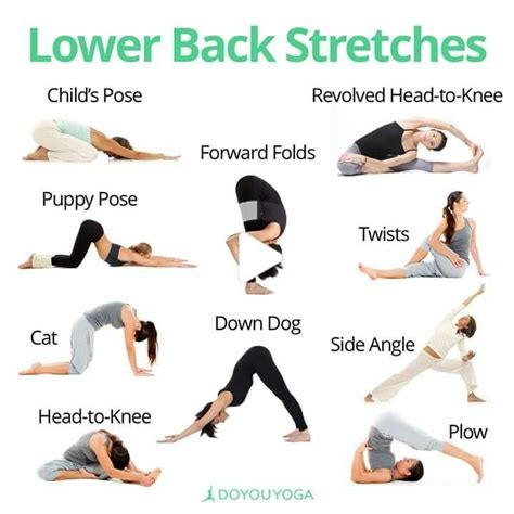 top yoga poses for lower back paint