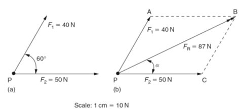 Vector Scale Diagram at Vectorified.com | Collection of Vector Scale Diagram free for personal use