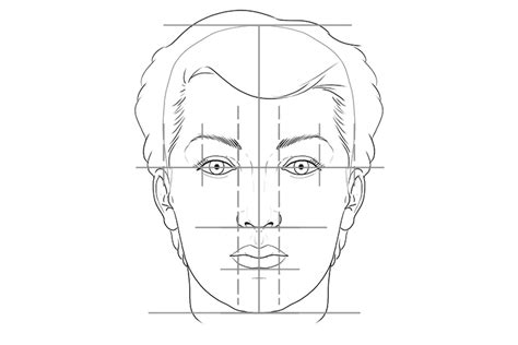 How To Draw The Proportions Of Face - Intelligencesupply16