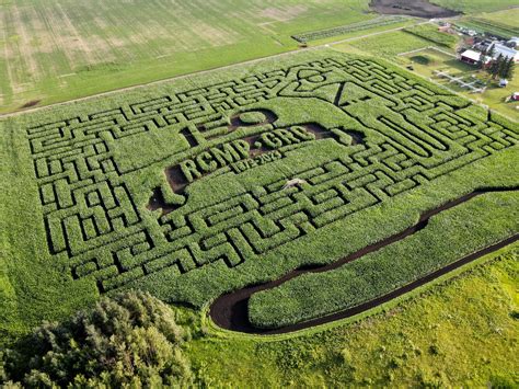 Maze | Edmonton's original corn maze