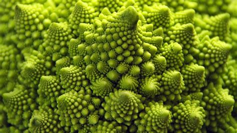 VERITAS w/ Mel Fabregas: Incredible Photographs of Fractals Found in the Natural World