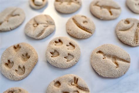 DIY Dinosaur Fossils with Salt Dough - Make Life Lovely