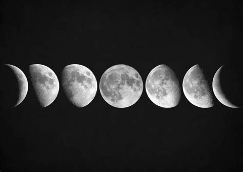 "Moon Phases" by Zapista Zapista | Moon phases art, Moon phases, Moon phase photography