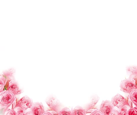 Free photo: Pink Rose Border - Border, Botanical, Clipart - Free Download - Jooinn