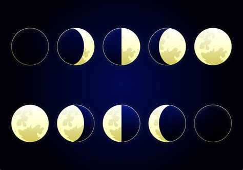 Moon Phase Vector Illustration - Download Free Vector Art, Stock Graphics & Images