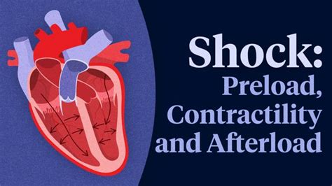 Preload, Contractility and Afterload | Ausmed Lectures