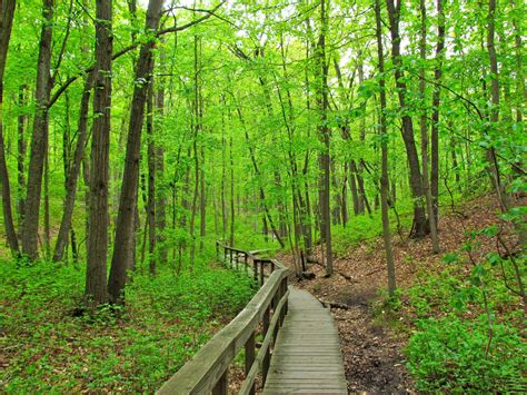 7 Best Hiking Trails for NYC Families to Explore