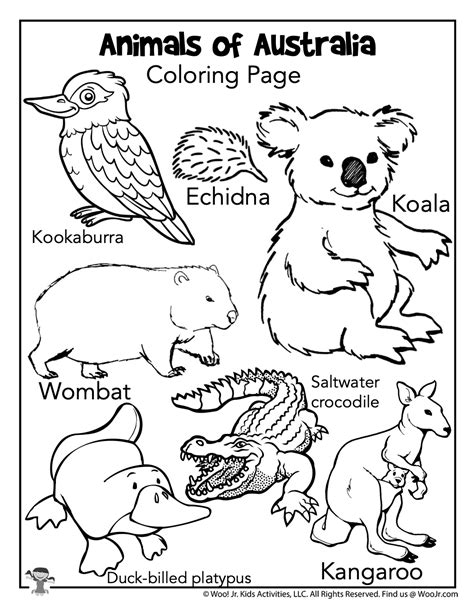 Australia Animals Coloring Page | Woo! Jr. Kids Activities : Children's Publishing