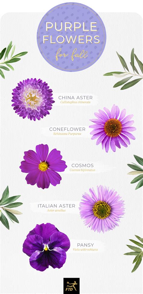 Light Purple Flowers Names And Pictures : Purple Wedding Flowers Centerpieces, Purple Wedding ...