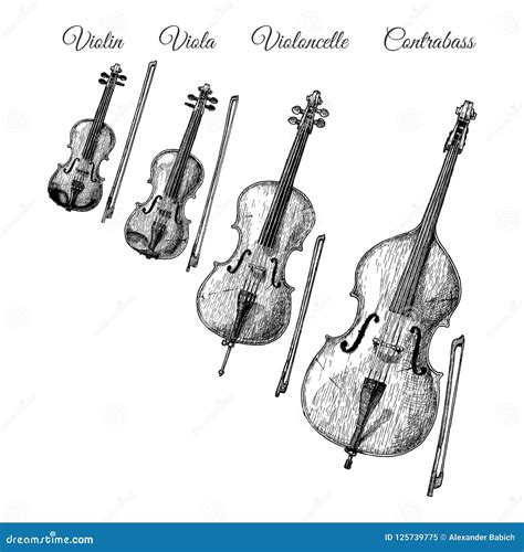 String Musical Instruments - Violin And Guitar Cartoon Vector | CartoonDealer.com #10345433