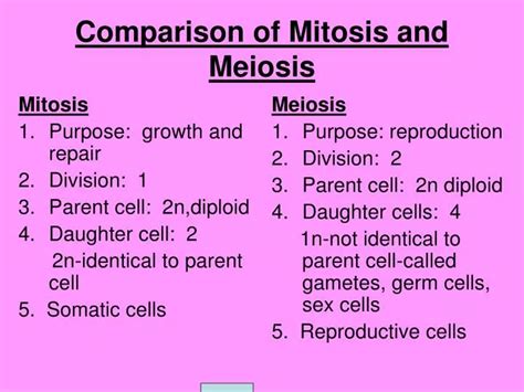 Ppt Mitosis Dan Meiosis Powerpoint Presentation Free Download Id - Riset