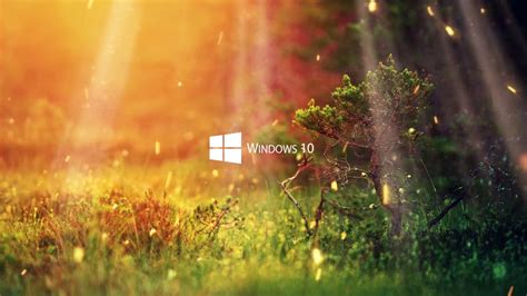 Live wallpaper windows 10 download - paseyou