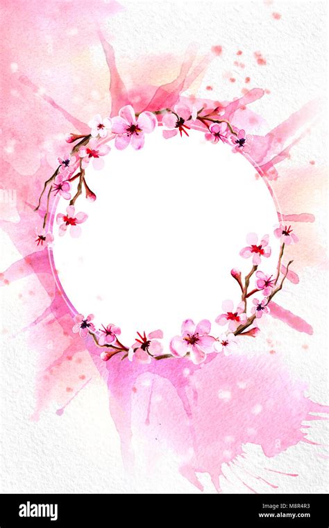 Cherry blossom on pink watercolor background Stock Photo - Alamy