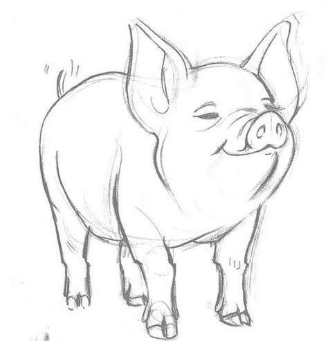 16 Easy Pig Drawings That Are Oink-Tastic - Beautiful Dawn Designs | Drawings, Animal drawings ...