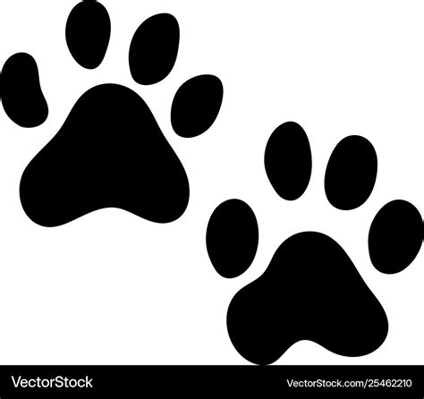 Tiger footprint Royalty Free Vector Image - VectorStock