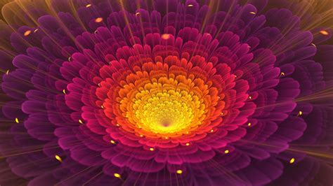 Fractal Flower Shapes Pattern HD Wallpapers - Wallpaper Cave