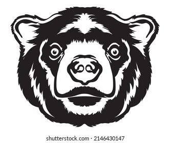 Sun Bear Face Vector Iilustration Hand Stock Vector (Royalty Free) 2146430147 | Shutterstock