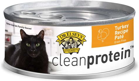 Best High Protein Cat Food: 11 Best Brands In January 2024