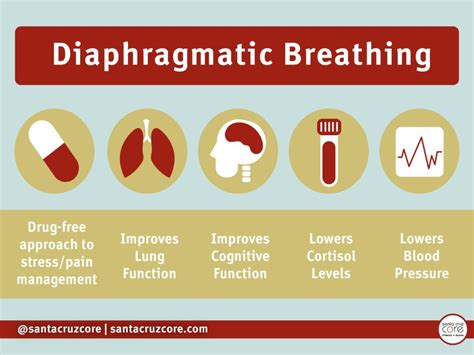 5 Amazing Benefits to Diaphragmatic Breathing | Santa Cruz CORE Fitness + Rehab