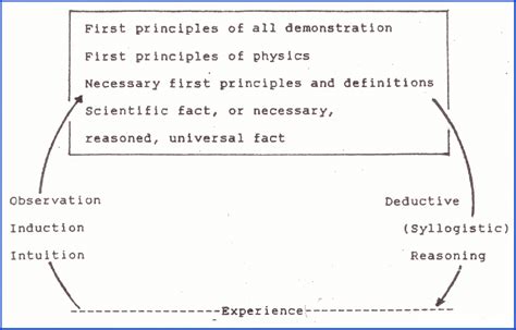 Aristotle's Physics Aristotle believed that we can go inductively from... | Download Scientific ...