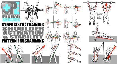 Synergistic Training - Pattern Programming for Shoulder Activation and Stability - Prehab Exercises