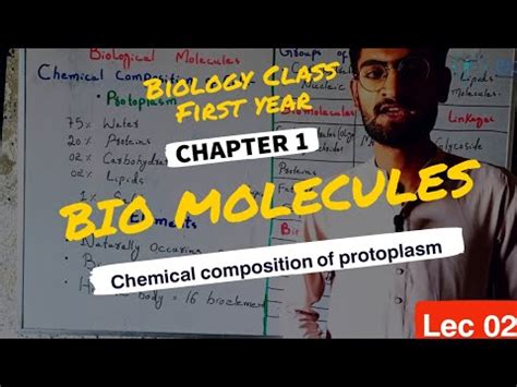 Bio molecules | 11th class bio | Chemical composition of cell | biomolecules examples | LEC 02 ...