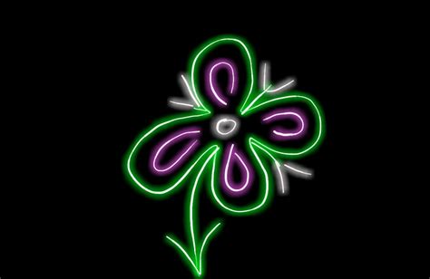 Neon Flower Free Stock Photo - Public Domain Pictures