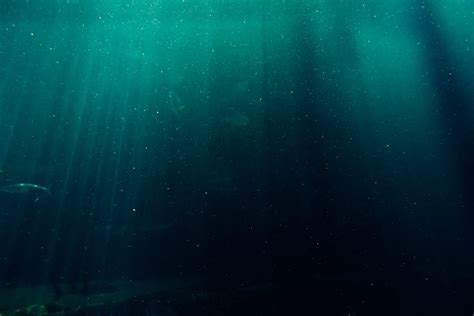 Underwater Photography of Deep Sea · Free Stock Photo