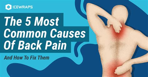 The 5 Most Common Causes Of Back Pain (And How To Fix Them) - IceWraps