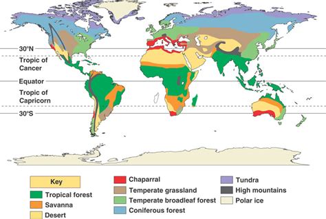 The Tundra Biome - Tundra