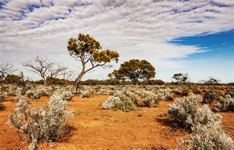 The Australian Desert, the Outback Stock Image - Image of south, australian: 111971125