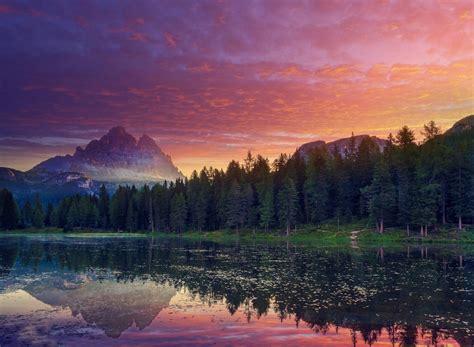 Online crop | pine trees and body of water, nature, landscape, sunset, mountains HD wallpaper ...