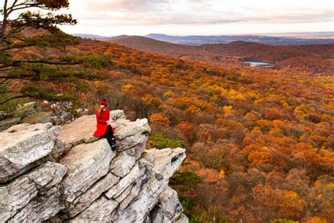 15+ Stunning Places to Experience Fall Foliage in Maryland 2024