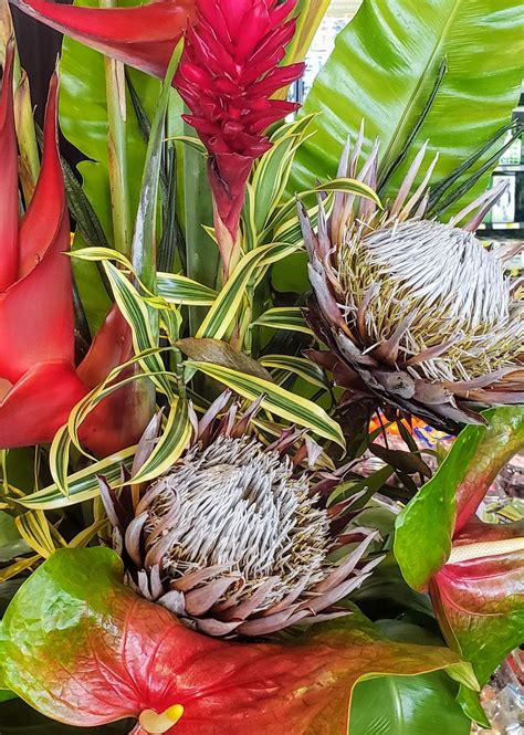 8 Most Beautiful Exotic Flowers of Hawaii - Mindfulness Memories