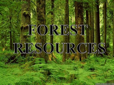 Forest resources