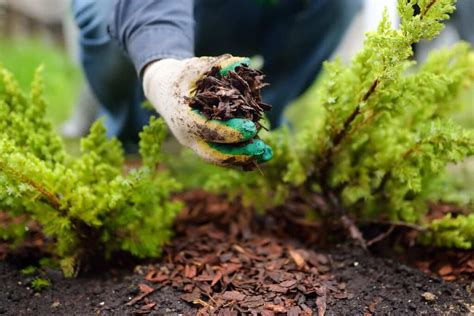 Eco-Friendly Gardening Tips for Sustainable Practices - Minneopa Orchards