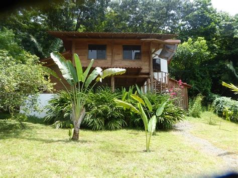 Jungle Tree House Costa Rica. Seven years ago, my husband and I… | by Cheryl Marschke | Jungle ...