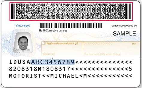 Drivers License Barcode Generator - operfsir